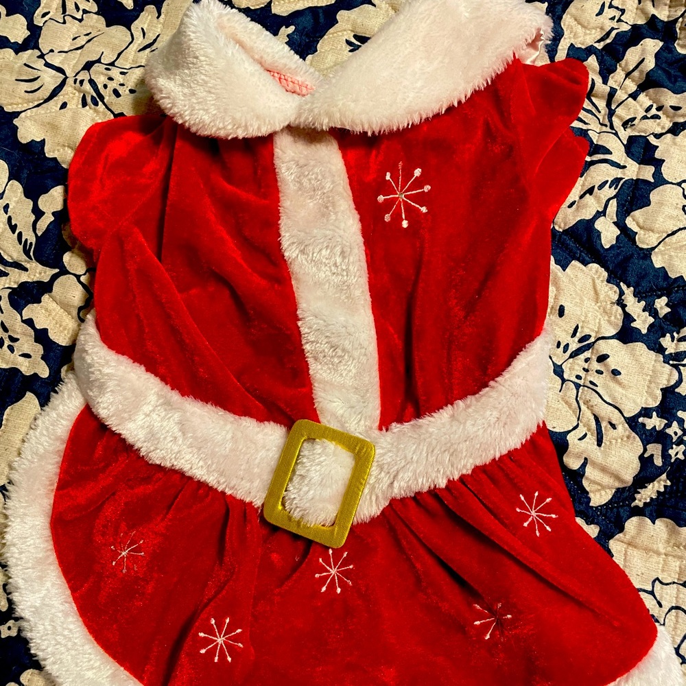 Christmas Dress